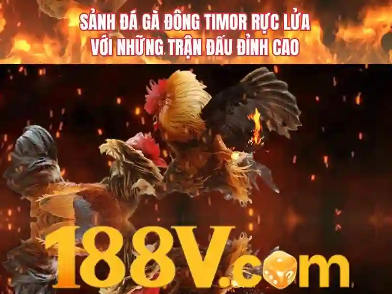 188V - Kèo Cược Hấp Dẫn và Hướng Dẫn Rút Tiền Nhanh Chóng - 188V