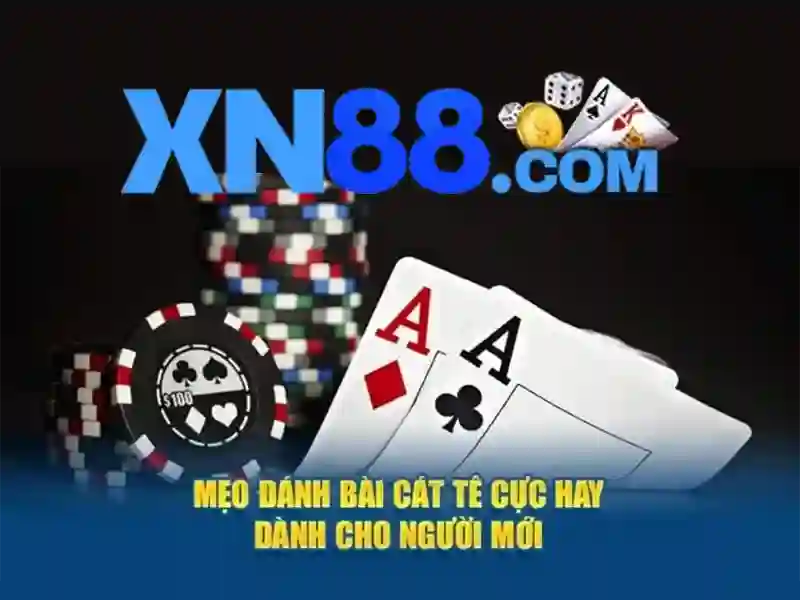 Hướng dẫn đăng ký và hỗ trợ khách hàng