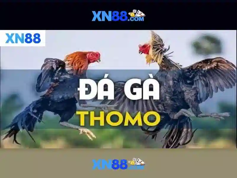 xn88: Đánh giá và hướng dẫn chơi an toàn