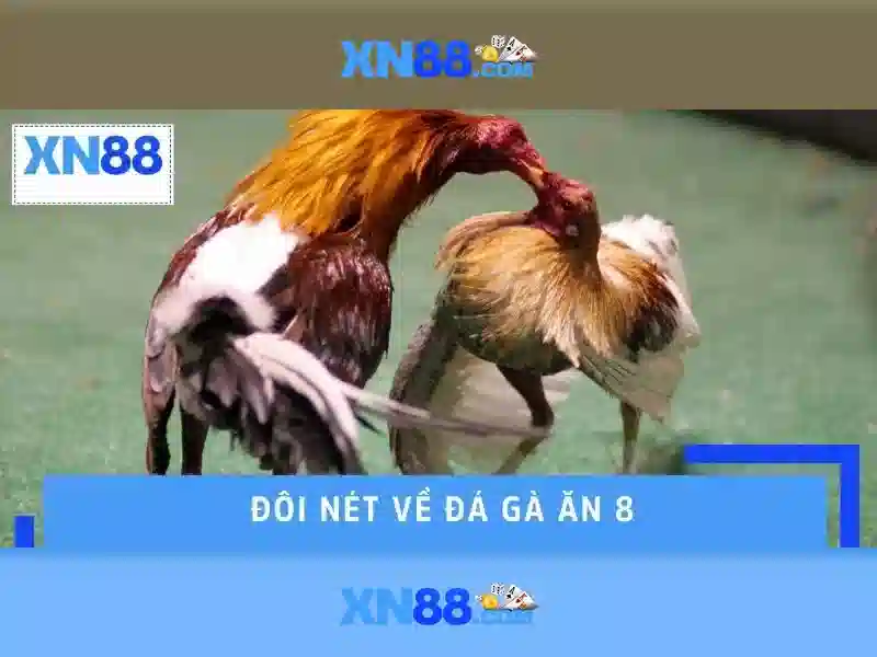 Các tính năng nổi bật