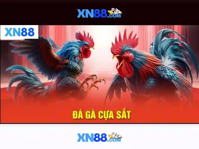 Về xn88: tổng quan và tiềm năng