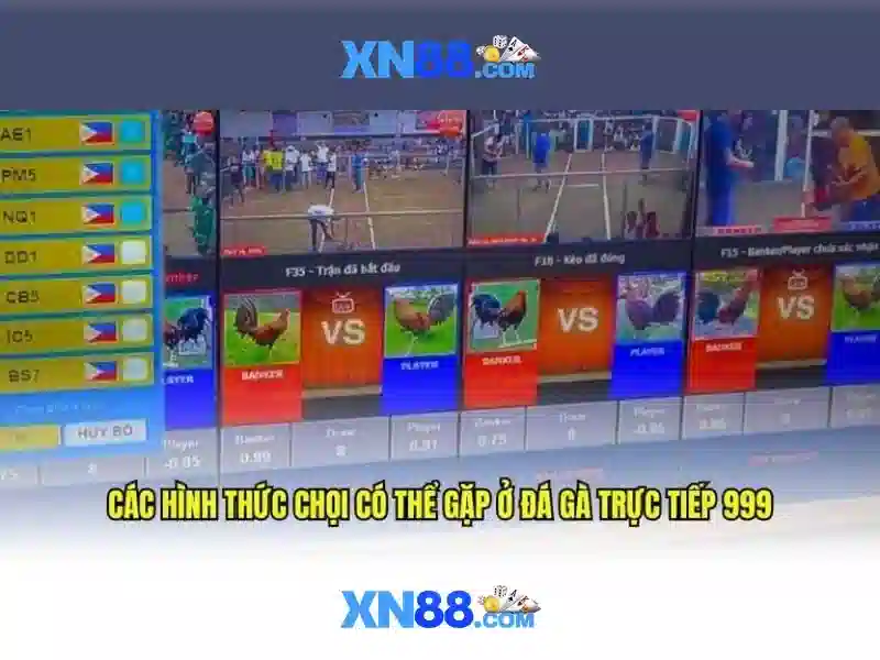 Xn88 là gì?
