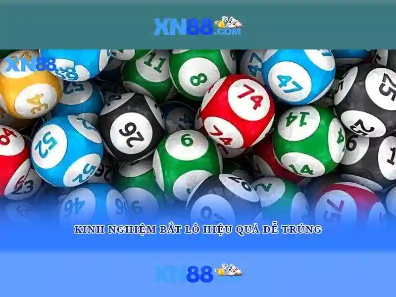 xn88: Tổng quan và đánh giá nền tảng trực tuyến