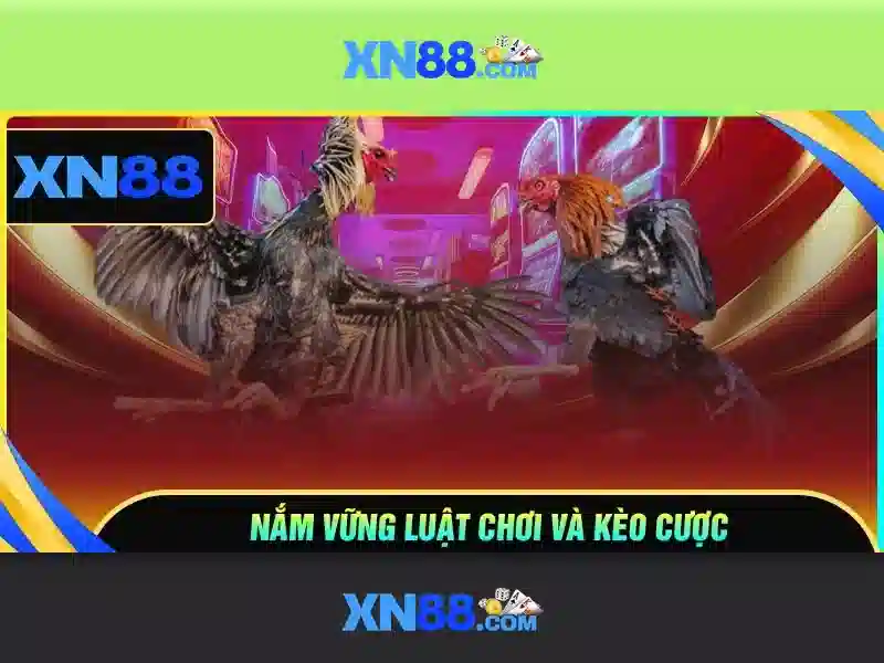 Đánh giá tổng quan về xn88\n
