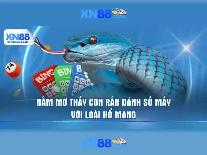 XN88: Trang web cá cược trực tuyến nổi bật