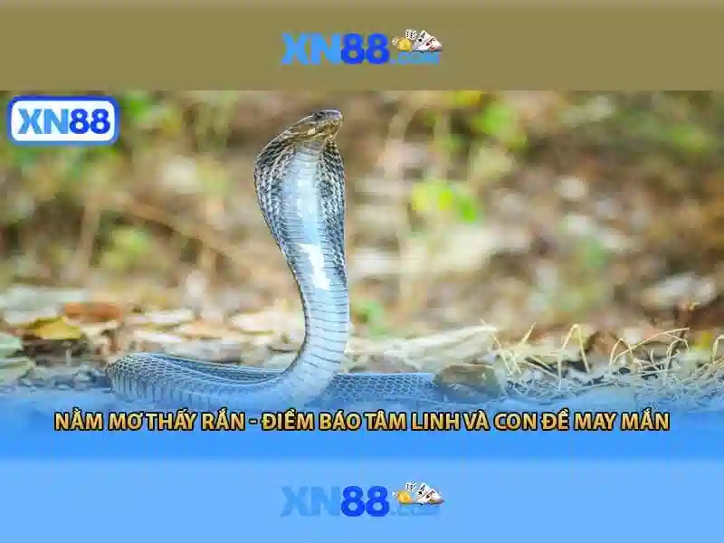Kết luận