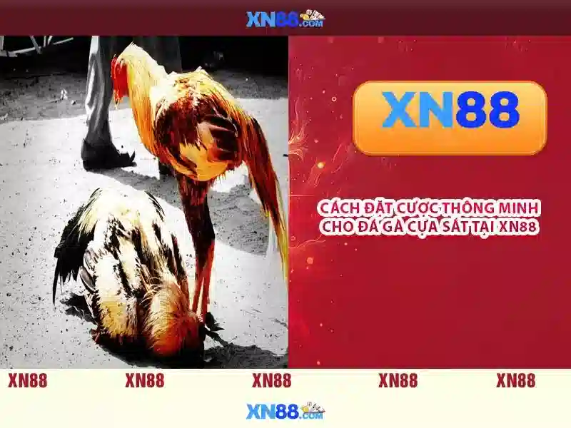 xn88-app – Tổng quan chủ đề và giá trị cốt lõi