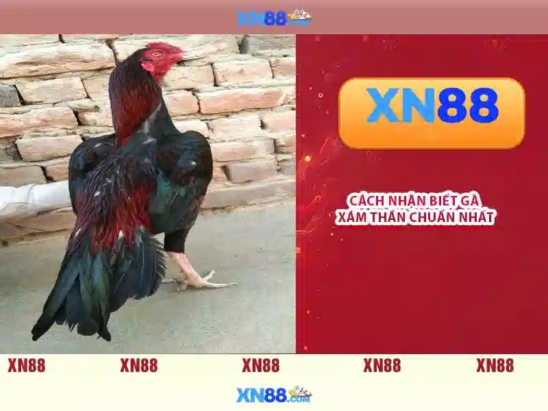 Các thể loại trò chơi có mặt tại xn88\n\n