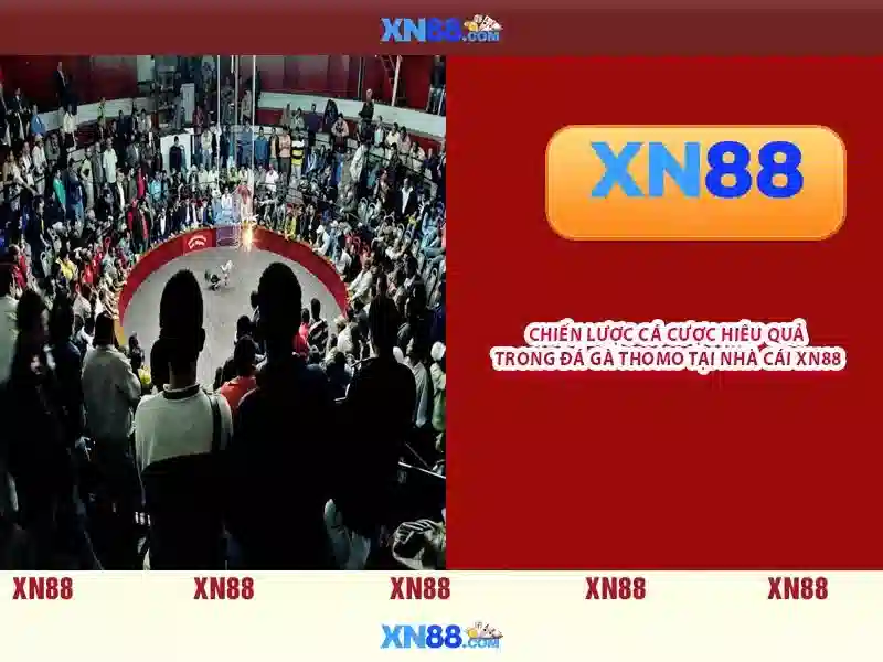 xn88: nền tảng giải trí trực tuyến và đánh giá