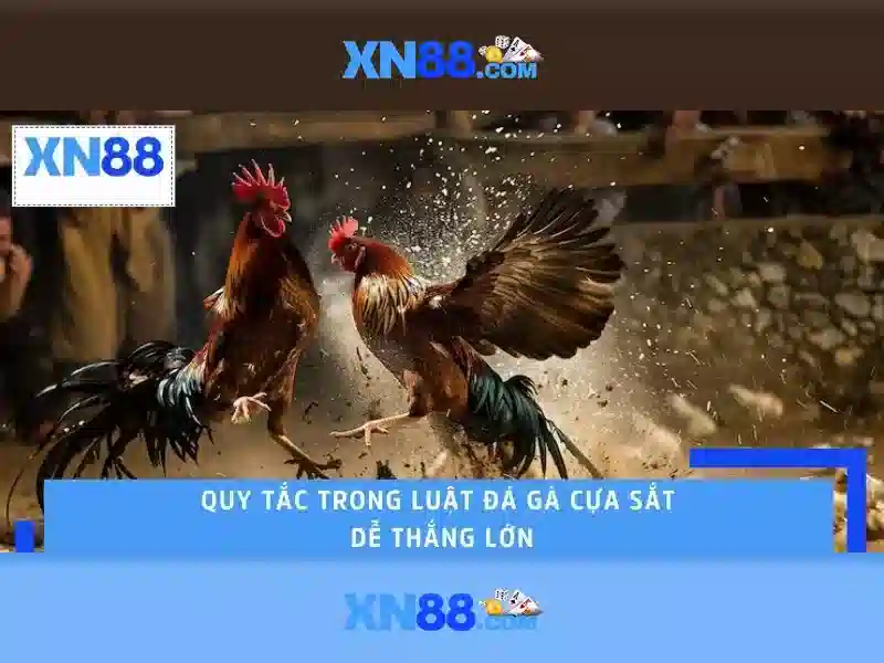 xn88: Tổng quan về nền tảng cá cược và giải trí trực tuyến
