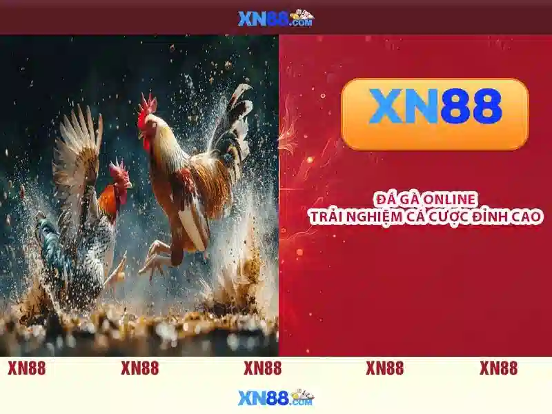 Các thể loại trò chơi có sẵn