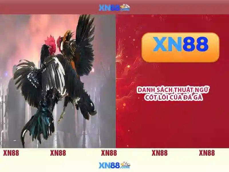 Giới thiệu về xn88 - Nền tảng trực tuyến