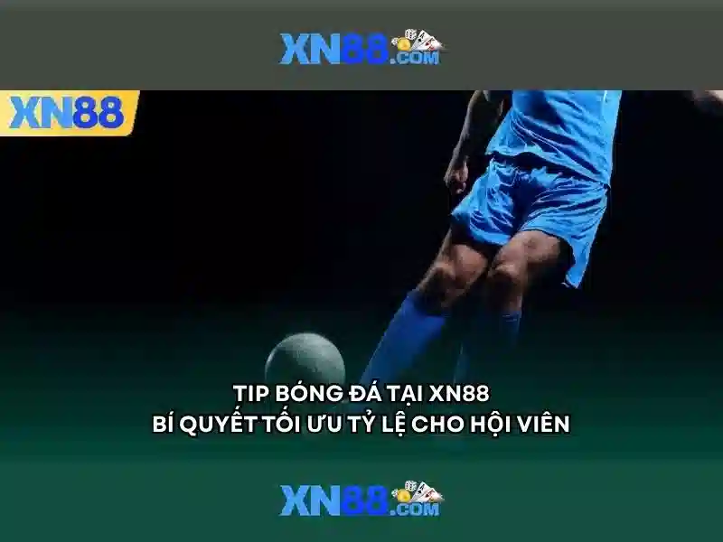 xn88 app com – Trải nghiệm mới với xn88 sa