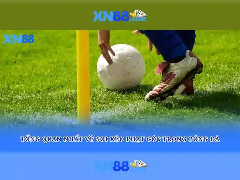 xn88: Tổng quan và hướng dẫn an toàn