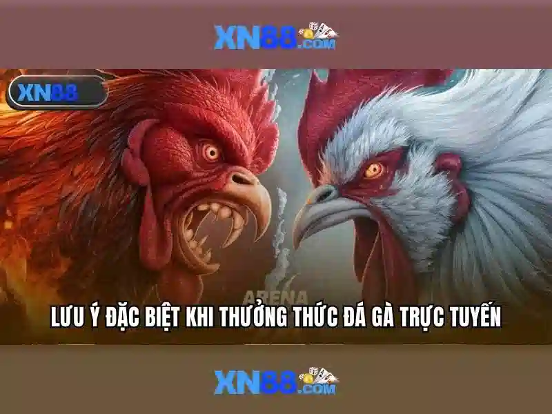 Kết luận và lời khuyên sử dụng