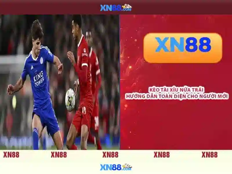 Giới thiệu về XN88