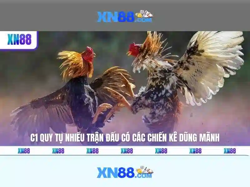 xn88: Nền tảng trò chơi trực tuyến và đánh giá toàn diện