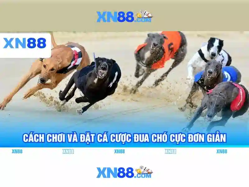 Hệ thống khuyến mại và cách tham gia