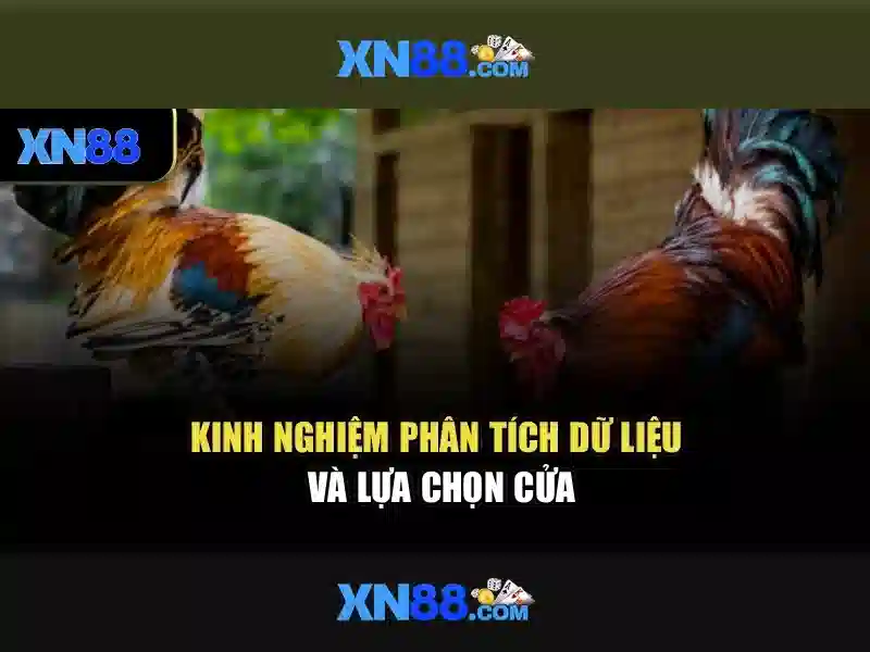 xn88: Nền tảng giải trí trực tuyến và trải nghiệm người dùng