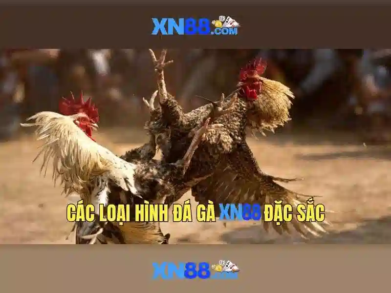 Kinh nghiệm chơi và mẹo nhanh