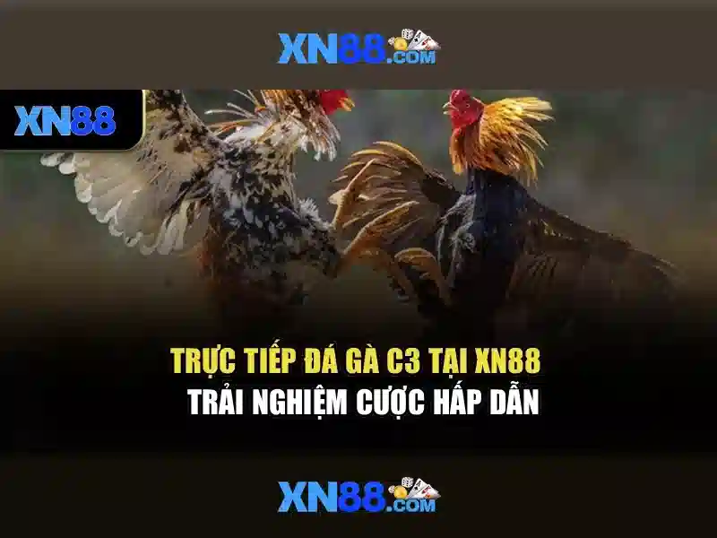 An toàn và cơ chế thanh toán