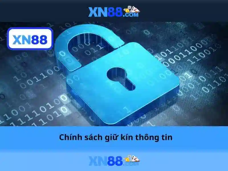 Kết luận và lưu ý an toàn