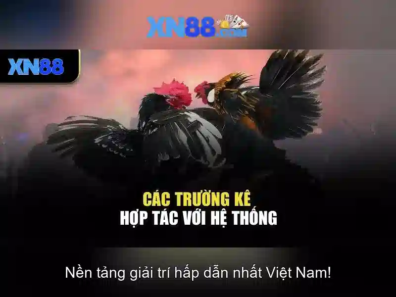 Các dịch vụ nổi bật
