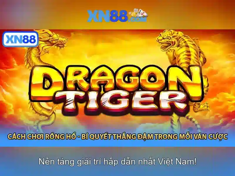 Lịch sử và nguồn gốc\n\n