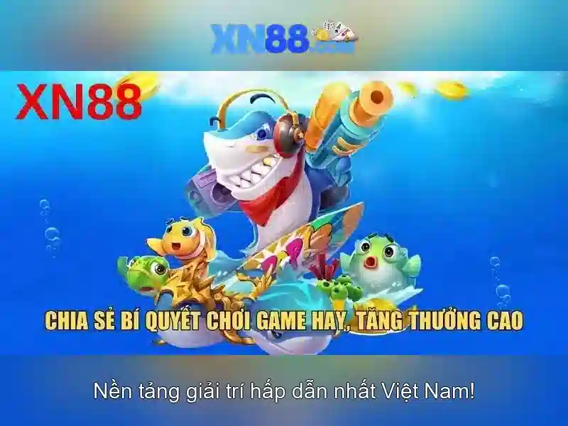 An toàn thanh toán và hỗ trợ người dùng