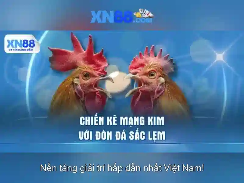 Lịch sử và nguồn gốc