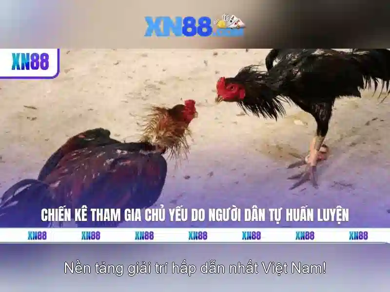Giới thiệu về xn88