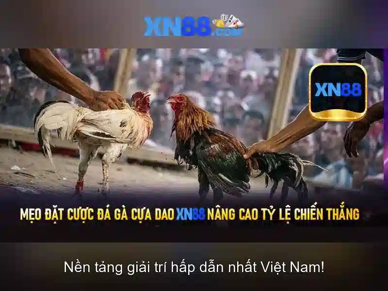 Hỗ trợ khách hàng và phản hồi\n\n