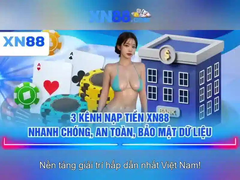 Nền tảng và dịch vụ