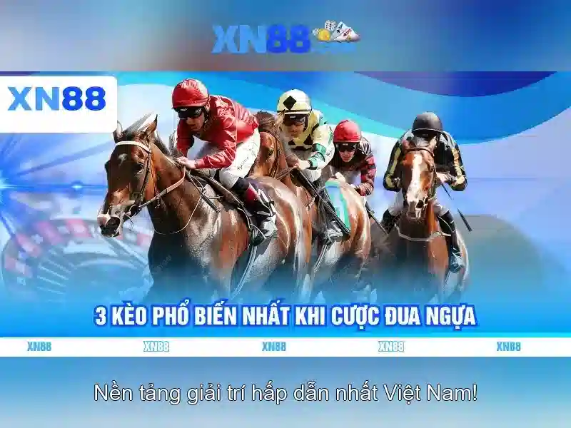 Giới thiệu về xn88