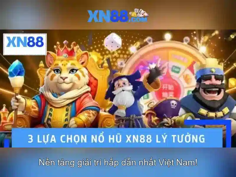 Nền tảng và dịch vụ