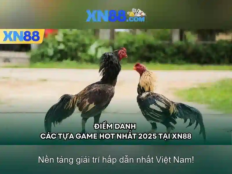 An toàn và bảo mật tại xn88