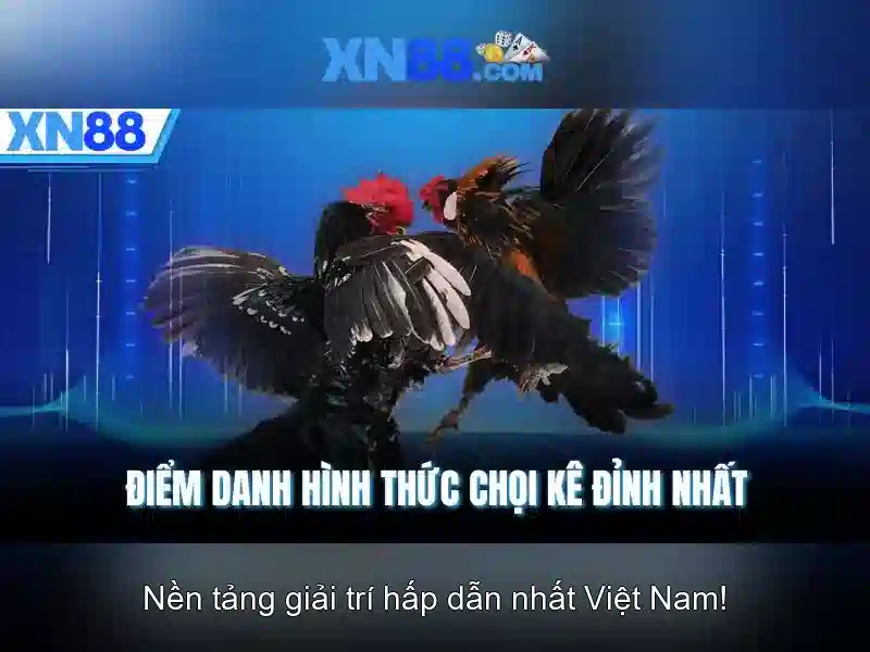 xn88: Nền tảng cược trực tuyến và trò chơi trực tuyến hàng đầu