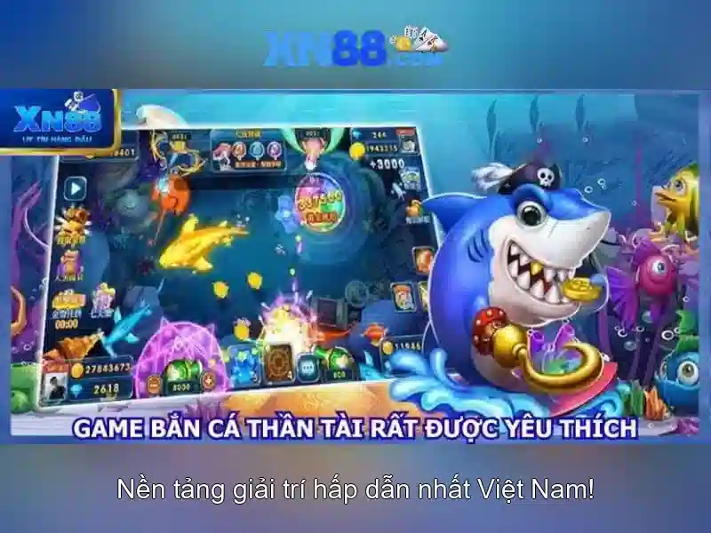 Trải nghiệm người dùng và phản hồi từ cộng đồng