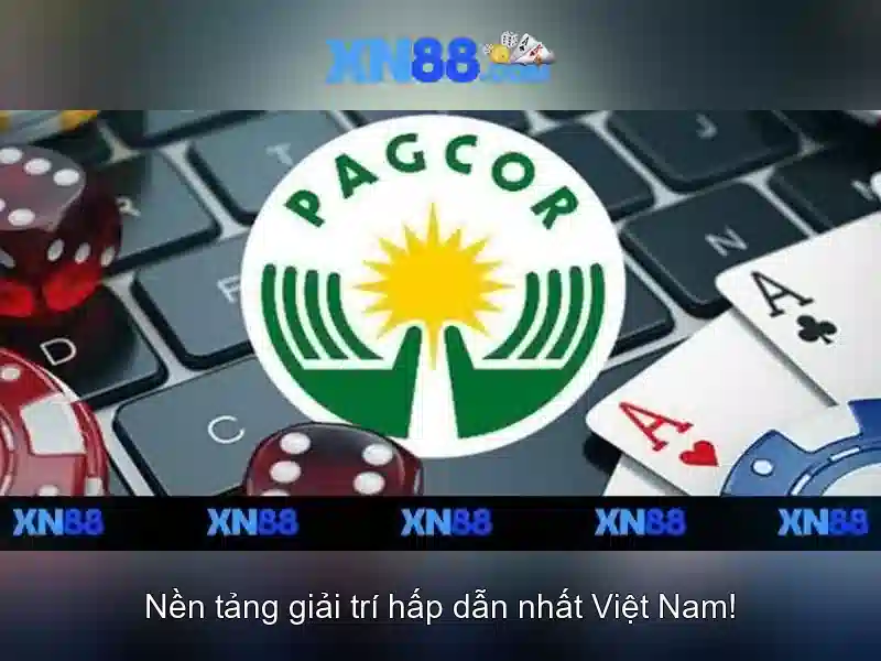 xn88: Một cái nhìn tổng quan