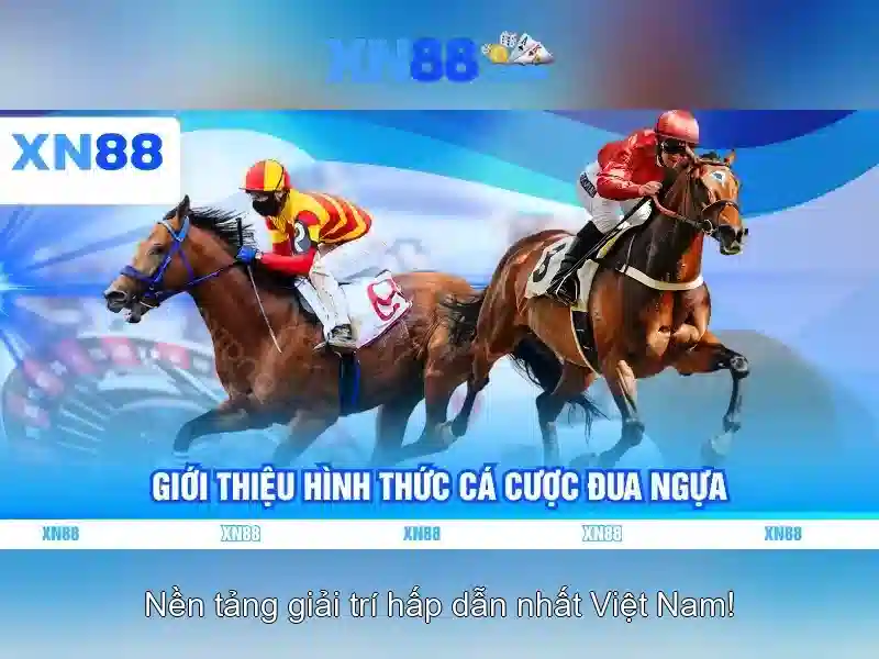 Các đặc điểm nổi bật