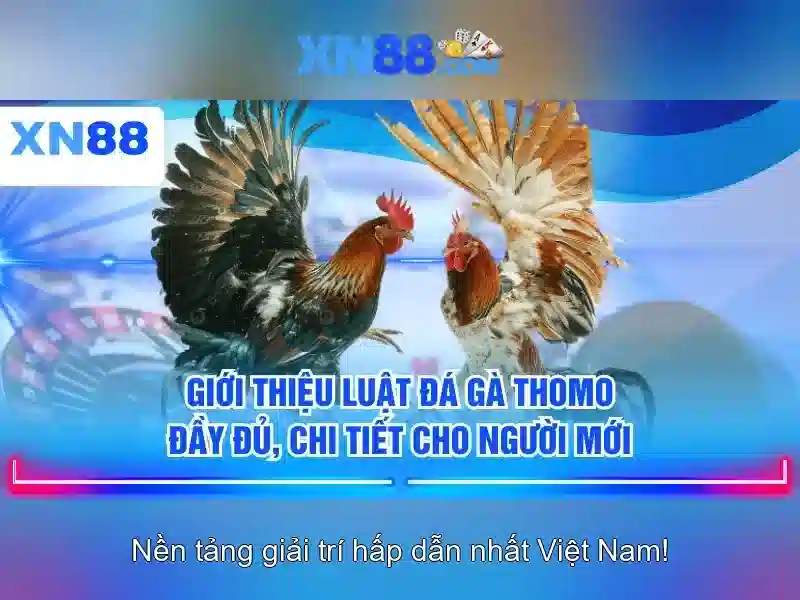 xn88 – Nền tảng trò chơi trực tuyến hàng đầu
