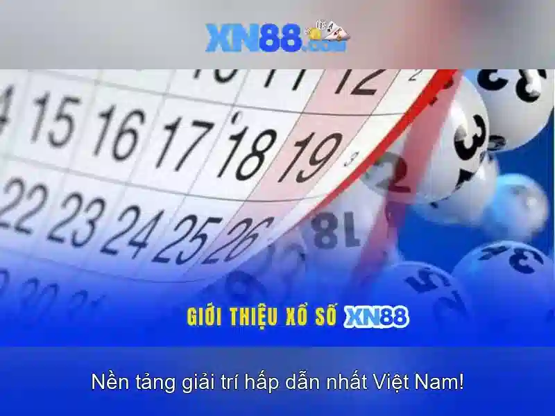 Các loại trò chơi và trải nghiệm\n\n