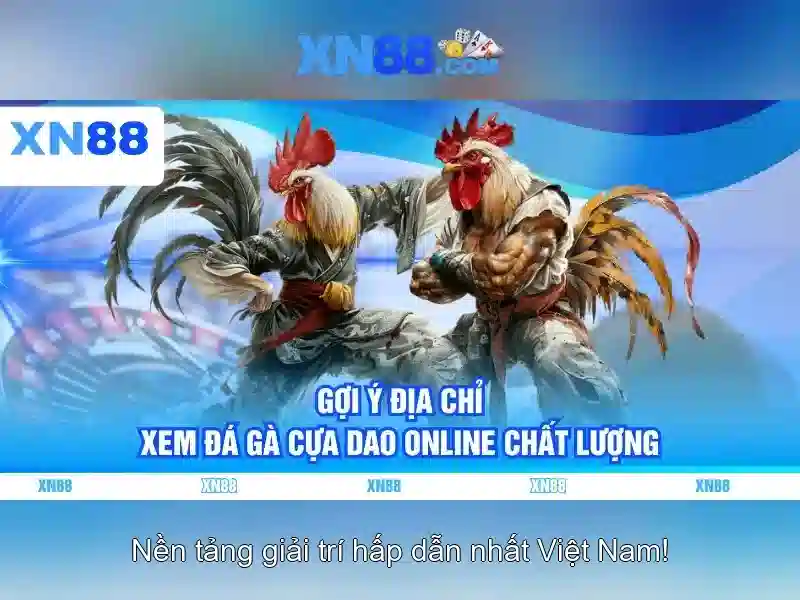 Giới thiệu về XN88\n