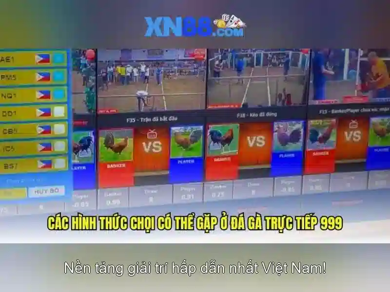 Giới thiệu về xn88