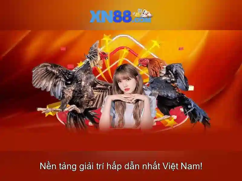 Lịch sử và nguồn gốc XN88