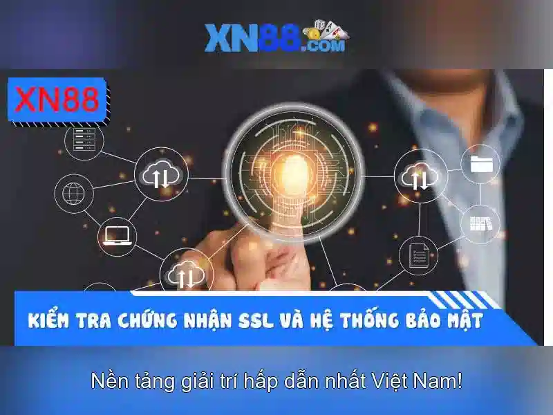  Lịch sử và nguồn gốc của xn88\n