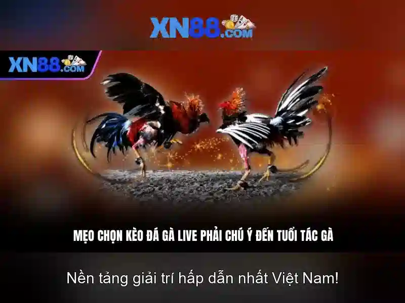 Tính năng nổi bật\n