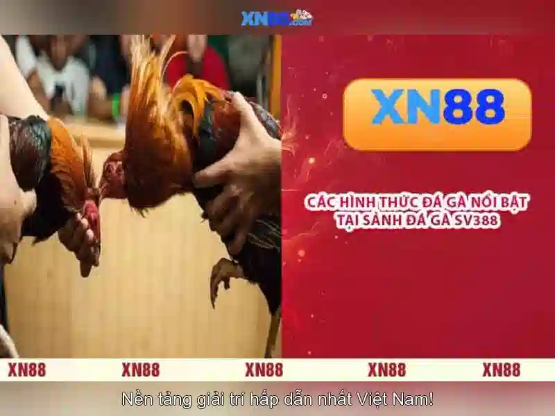 Dịch vụ và sản phẩm