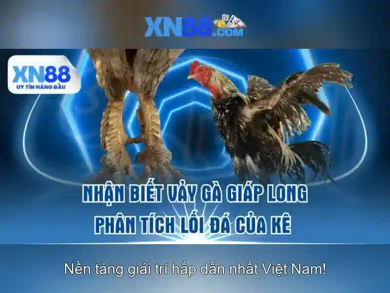 Tổng quan chủ đề và giá trị cốt lõi