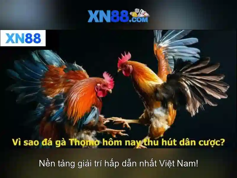 xn88: Nền tảng giải trí trực tuyến an toàn và tiện lợi